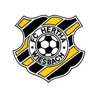 FC Hertha Wiesbach