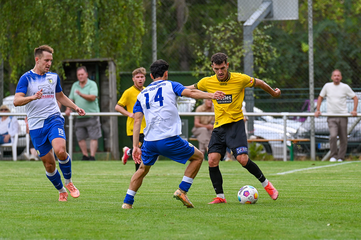 berufungabgewiesen-gauodernheim-okt15